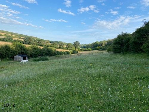 Pasture Land at Finchdean, Rowlands Castle Hampshire PO8 0AZ